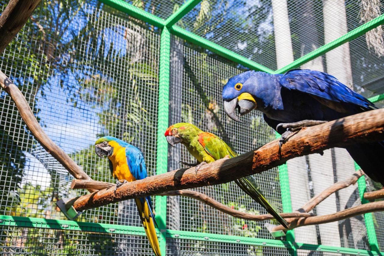 Ashmore Palms Holiday Village Gold Coast Luaran gambar